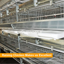 Complete poultry chicken farm equipment for broiler and breeders